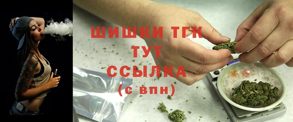 стафф Кодинск