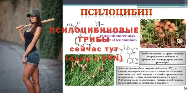 первитин Козловка