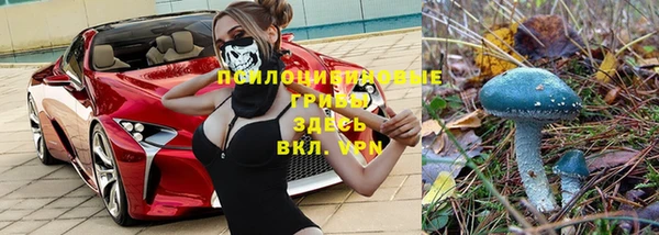 первитин Козловка