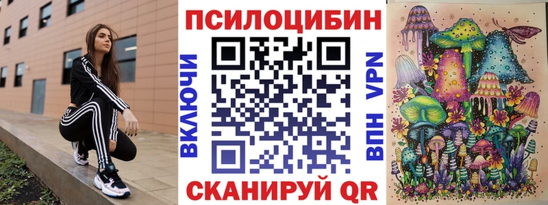 Галлюциногенные грибы GOLDEN TEACHER  KRAKEN tor  Киренск 